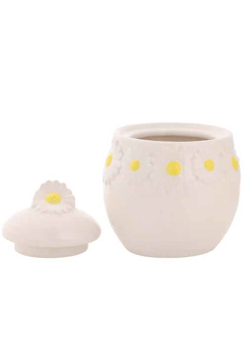 The Cottage Garden White Sugar Bowl Daisy - One Size Image 2