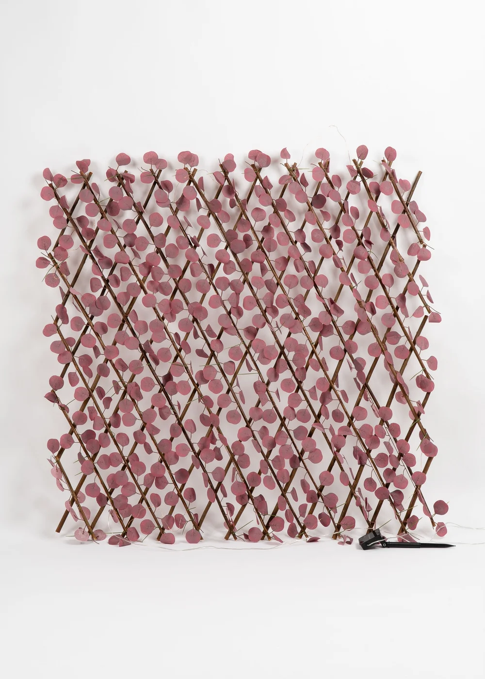 Scottish Everlastings Plum Eucalyptus Expanding Trellis with LED Lights (170x90cm) - One Size Image 1