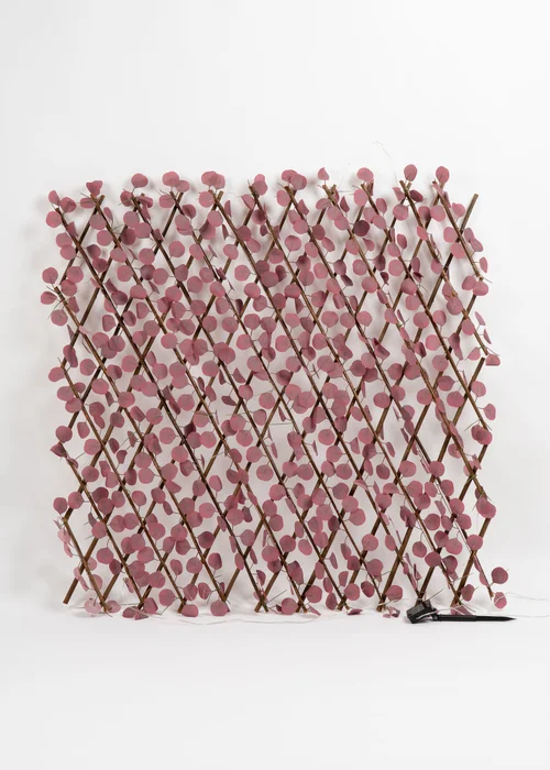 Scottish Everlastings Plum Eucalyptus Expanding Trellis with LED Lights (170x90cm) - One Size Image 1