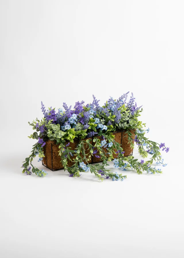 Scottish Everlastings Purple Mixed Trailing Outdoor Window Hanging Trough (55cm)