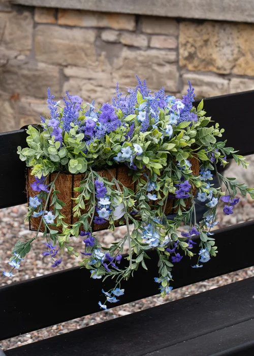 Scottish Everlastings Purple Mixed Trailing Outdoor Window Hanging Trough (55cm) - One Size Image 4