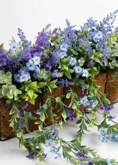 Scottish Everlastings Purple Mixed Trailing Outdoor Window Hanging Trough (55cm) - One Size Image 3
