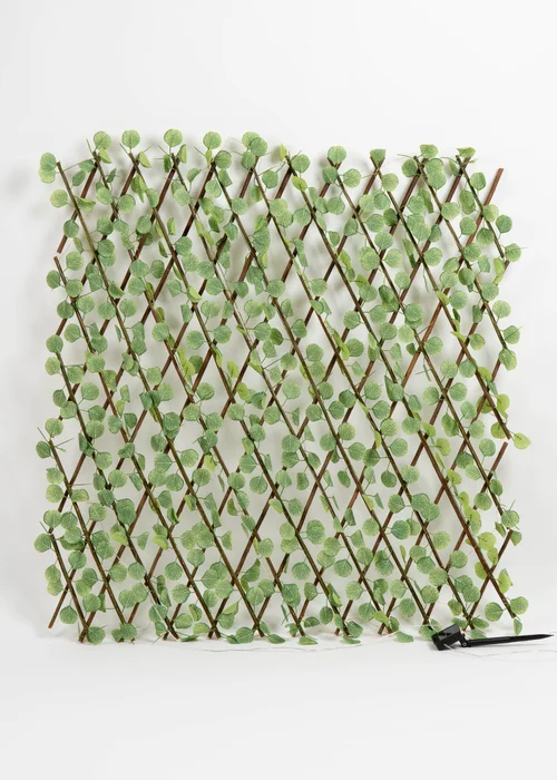 Scottish Everlastings Light Green Eucalyptus Expanding Trellis with LED Lights - One Size Image 1