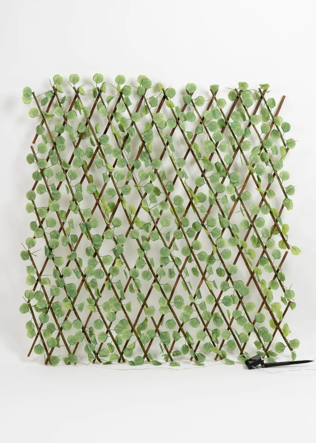 Scottish Everlastings Light Green Eucalyptus Expanding Trellis with LED Lights