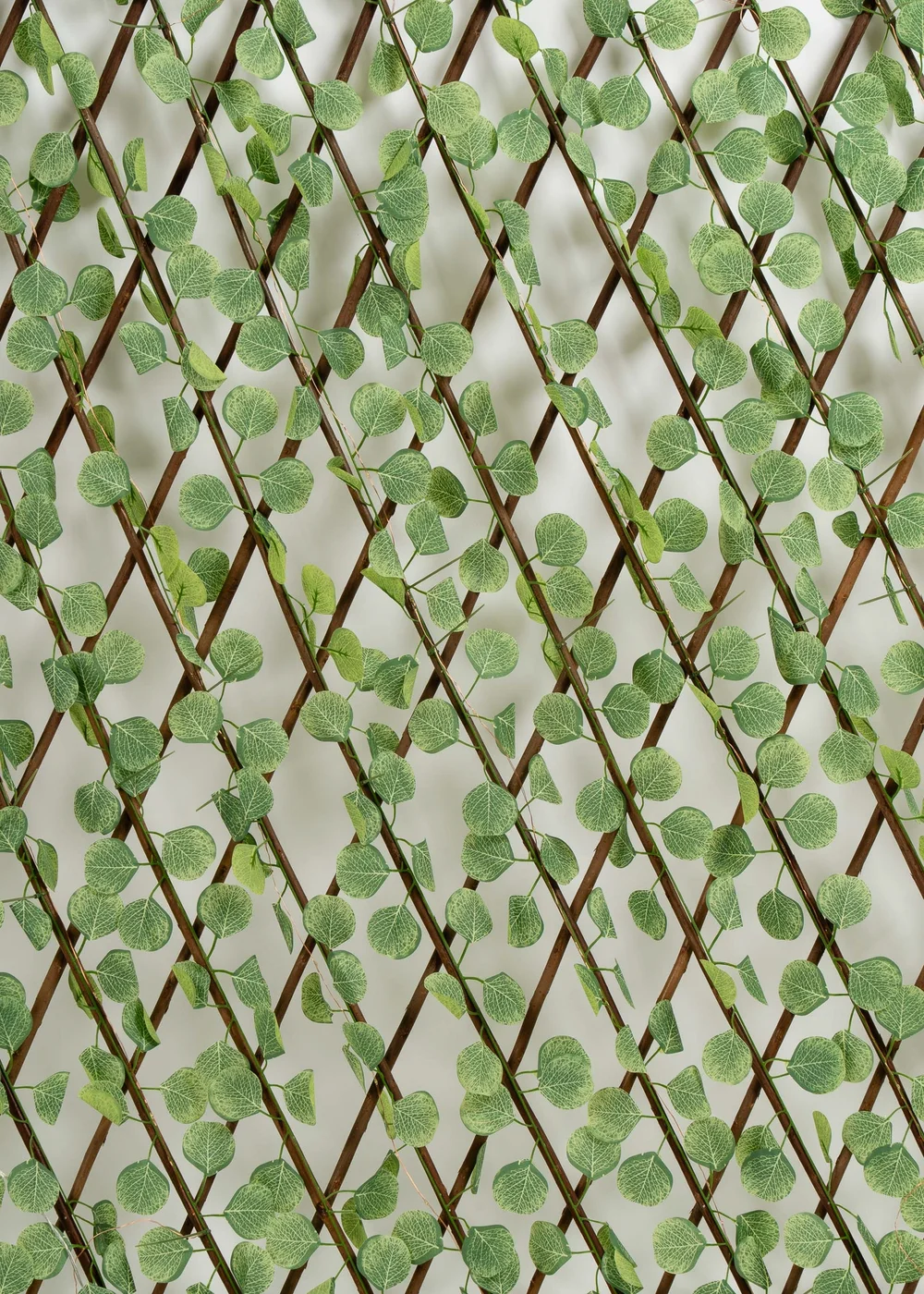 Scottish Everlastings Light Green Eucalyptus Expanding Trellis with LED Lights - One Size Image 2