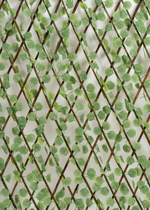 Scottish Everlastings Light Green Eucalyptus Expanding Trellis with LED Lights