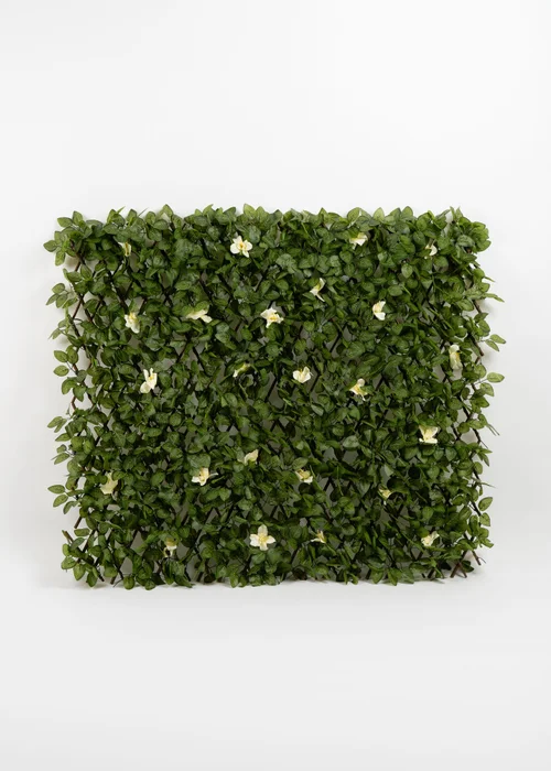 Scottish Everlastings Anti-UV White Clematis Expanding Trellis 180x90cm - One Size Image 1