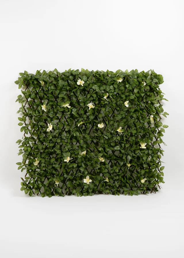 Scottish Everlastings Anti-UV White Clematis Expanding Trellis 180x90cm
