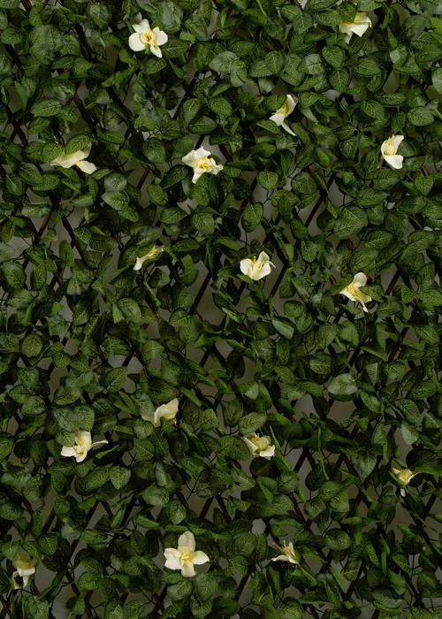 Scottish Everlastings Anti-UV White Clematis Expanding Trellis 180x90cm - One Size Image 2