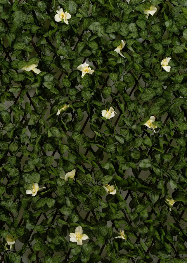Scottish Everlastings Anti-UV White Clematis Expanding Trellis 180x90cm
