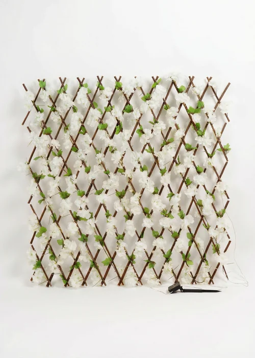 Scottish Everlastings White Blossom Expanding Trellis with LED Lights (170x90cm) - One Size Image 1
