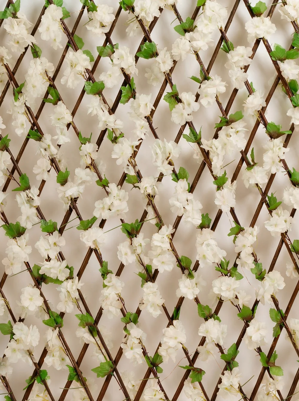 Scottish Everlastings White Blossom Expanding Trellis with LED Lights (170x90cm) - One Size Image 4