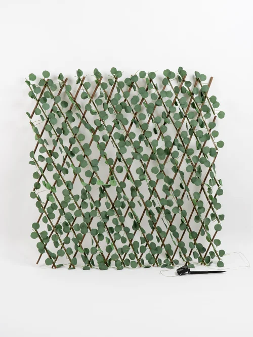 Scottish Everlastings Green Eucalyptus Expanding Trellis with LED Lights (170x90cm) - One Size Image 3