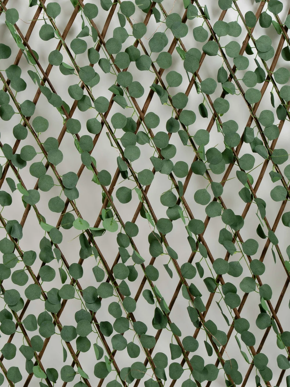 Scottish Everlastings Green Eucalyptus Expanding Trellis with LED Lights (170x90cm) - One Size Image 4