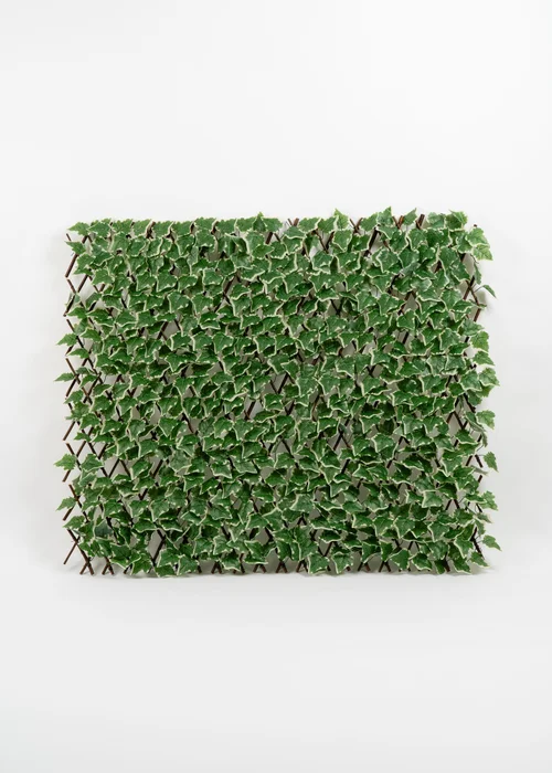 Scottish Everlastings Anti-UV Green Ivy Expanding Trellis (180x90cm) - One Size Image 1