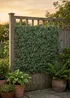 Scottish Everlastings Anti-UV Green Ivy Expanding Trellis (180x90cm) - One Size Image 3