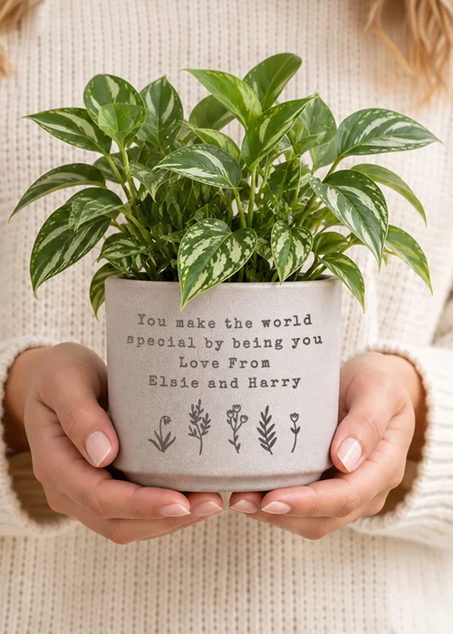 Personalised Memento Company Floral Flecked Plant Pot - One Size Image 2