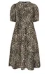 Yours Curve Natural Brown Leopard Tiered Midi Dress - 18 Image 2