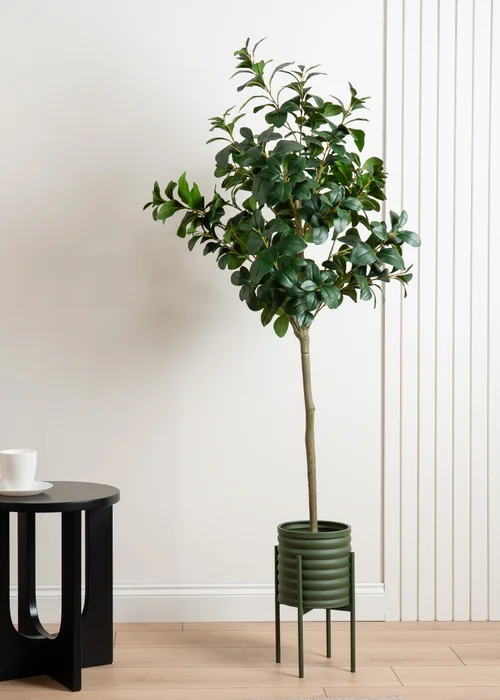 Scottish Everlastings Green Ribbed Planter - One Size Image 4