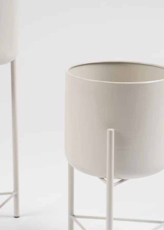 Scottish Everlastings Set of 2 Light Beige Planters