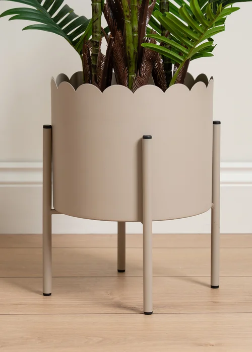 Scottish Everlastings Beige Scallop Planter - One Size Image 3