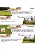 Toyrific Kapti Outdoor Disc Throwing Game - One Size Image 2