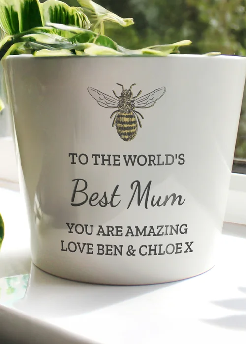 Personalised Memento Company White Bee Plant Pot - One Size Image 2