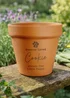 Personalised Memento Company Pet Memorial Terracotta Plant Pot - One Size Image 1