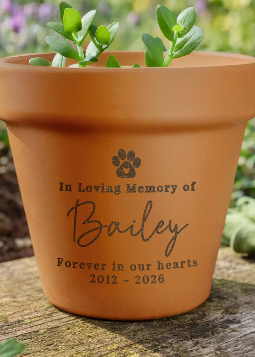 Personalised Memento Company Pet Memorial Terracotta Plant Pot - One Size Image 2