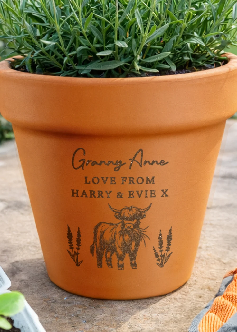 Personalised Memento Company Highland Cow Terracotta Plant Pot - One Size Image 2