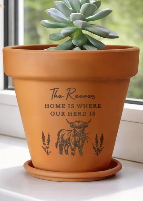 Personalised Memento Company Highland Cow Terracotta Plant Pot - One Size Image 3