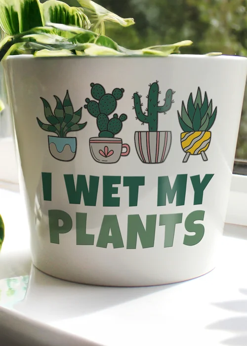 Personalised Memento Company Wet My Plants Plant Pot - One Size Image 2