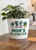Personalised Memento Company Wet My Plants Plant Pot - One Size Image 1