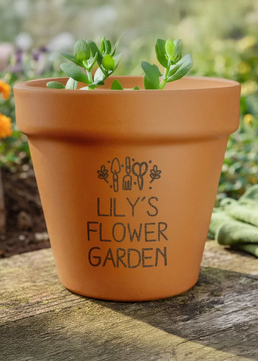 Personalised Memento Company Gardening Terracotta Plant Pot - One Size Image 1