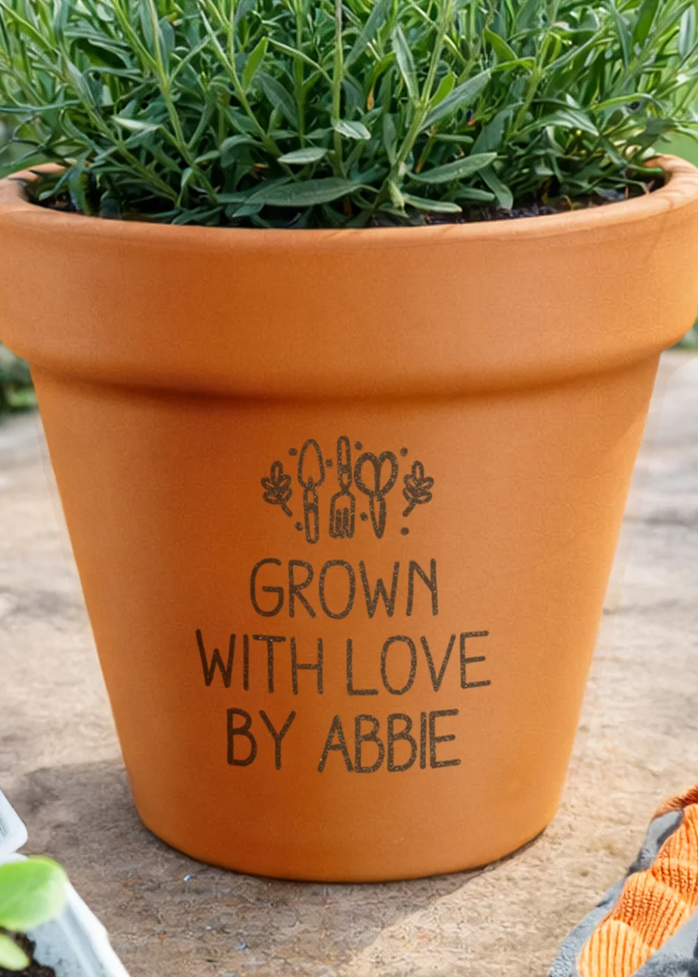 Personalised Memento Company Gardening Terracotta Plant Pot - One Size Image 2