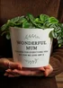 Personalised Memento Company Wreath Plant Pot - One Size Image 3