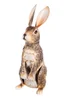 Premier Decorations Standing Rabbit Metal Garden Sculpture 41.5cm - One Size Image 1