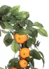 Premier Decorations Artificial Orange Tree Wreath 45cm - One Size Image 2
