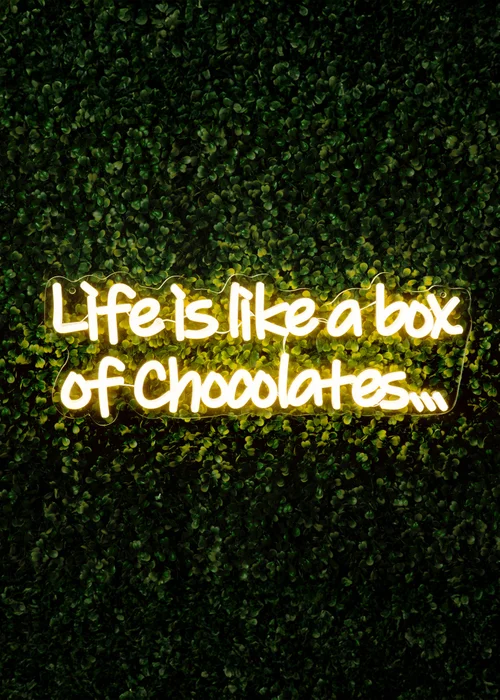 Premier Decorations LED Neon Life is Like a Box of Chocolates Sign - One Size Image 1