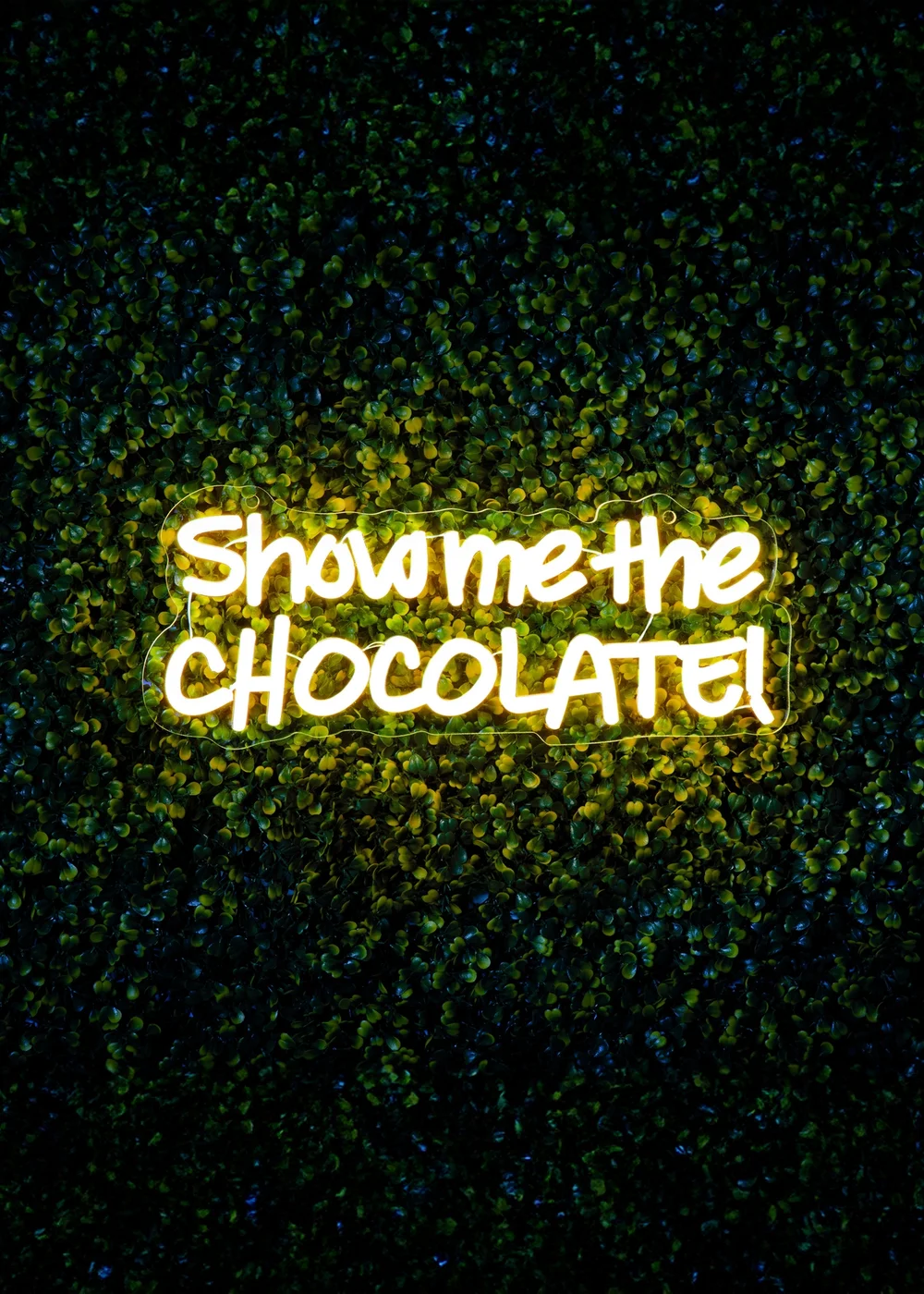 Premier Decorations LED Neon Show Me the Chocolate Sign - One Size Image 1