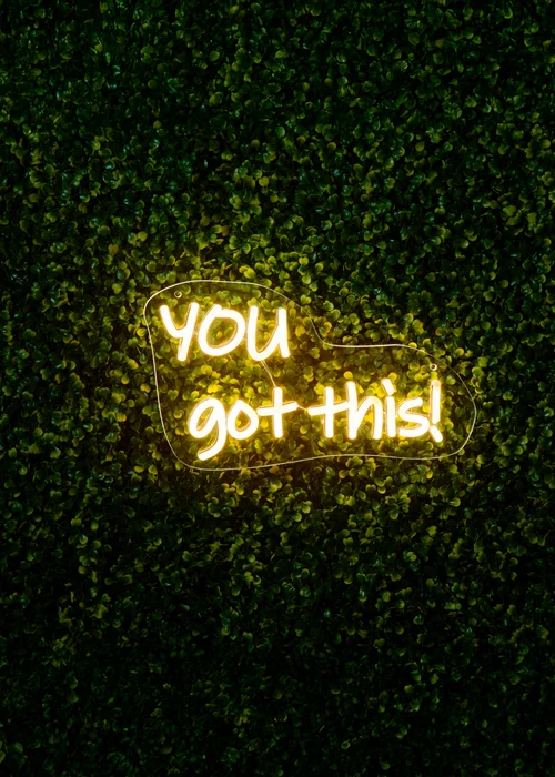 Premier Decorations LED Neon You Got This Sign - One Size Image 1