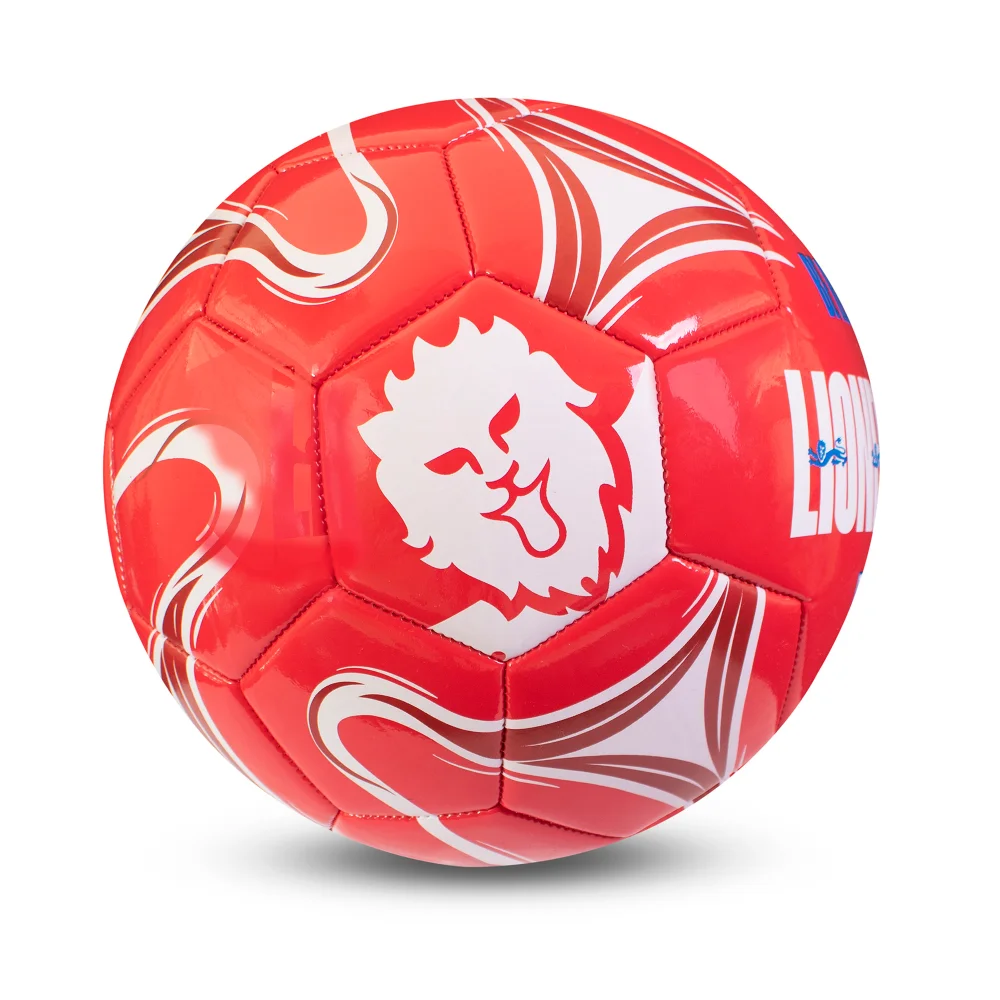 Hy-Pro England Lionesses Turbine Football Size 5 - One Size Image 2