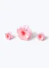 Muse 3 Pack Pearlescent Flower Claw Clips - One Size Image 2