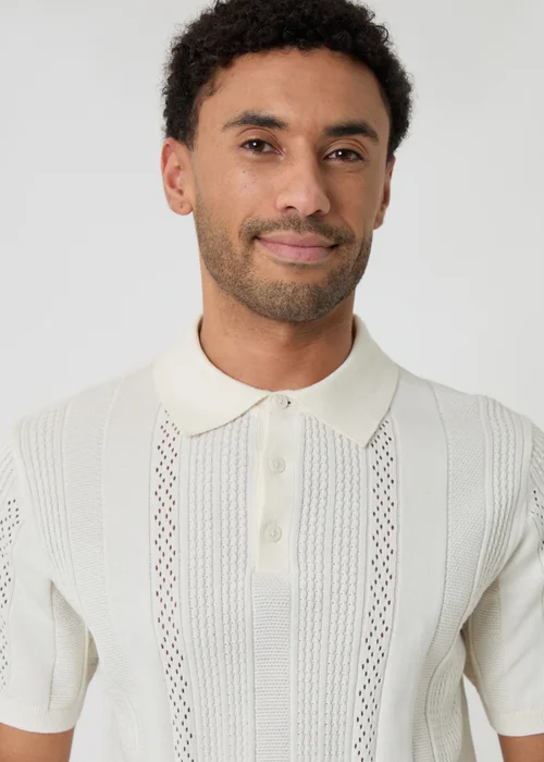 Threadbare Natural Cotton Textured Stripe Knitted Polo - XL Image 4