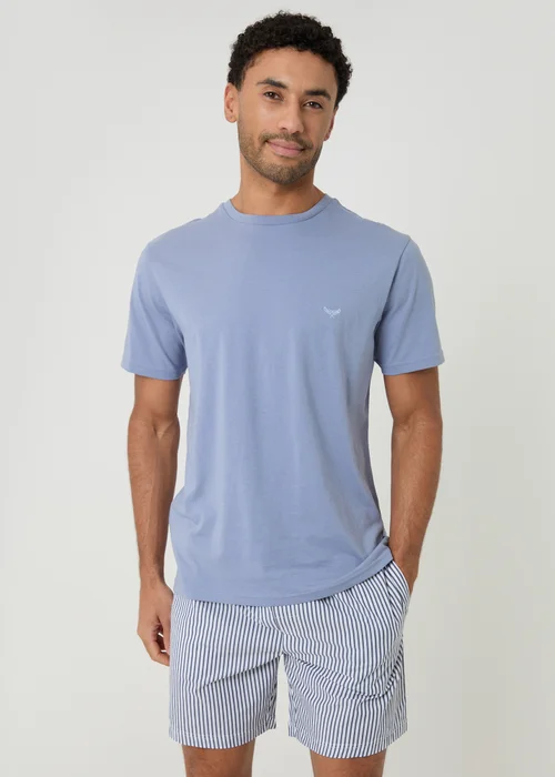 Threadbare Blue Stripe Short Pyjama Set - L Image 1