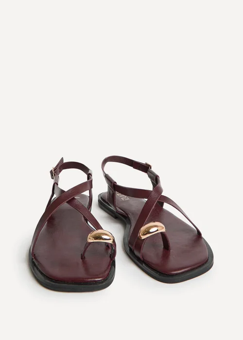 Linzi Mist Burgundy Toe Ring Flat Sandals - 3 Image 3