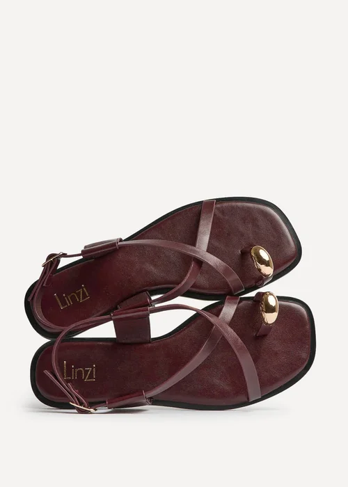 Linzi Mist Burgundy Toe Ring Flat Sandals - 3 Image 5