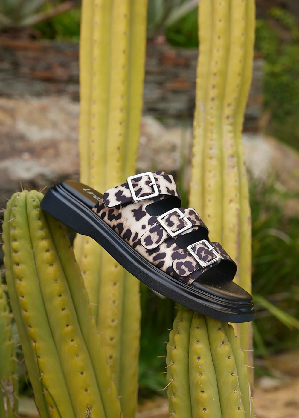 Linzi Satellite Leopard Print Flat Sandals - 7 Image 1