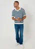 Threadbare Natural Textured Stripe Knitted Trophy Neck Polo - 2XL Image 3
