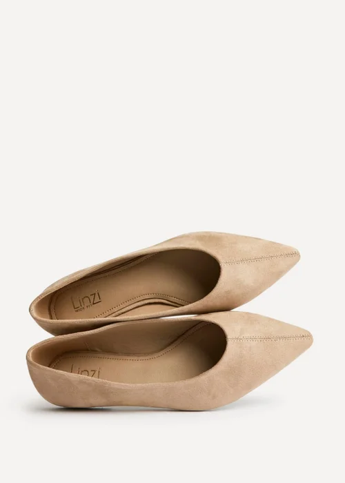 Linzi Candid Wide Fit Beige Pointed Toe Ballet Flats - 4 Image 5